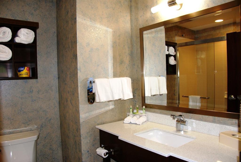 Holiday Inn Express & Suites St Louis Airport By Ihg Woodson Terrace Ruang foto